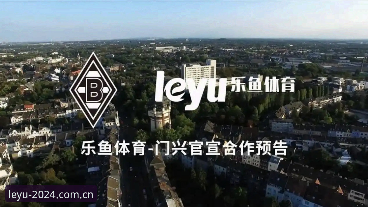 乐鱼体育用了一年多，聊聊我眼中那个官网入口究竟藏着什么